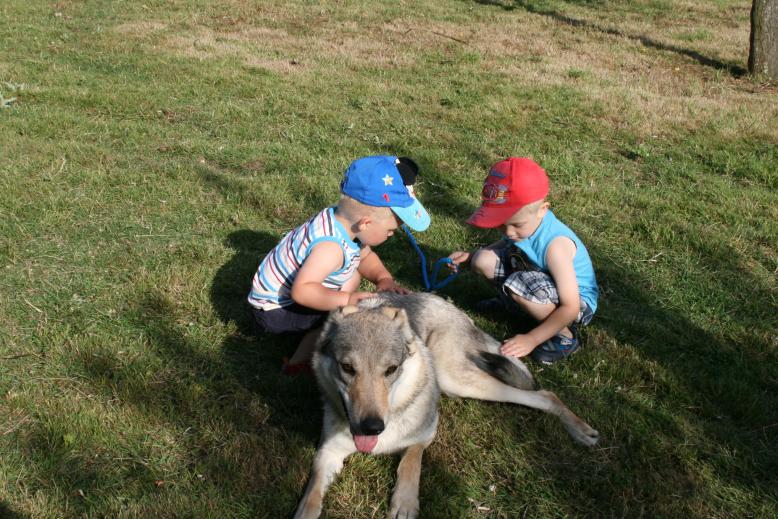 BOYS DOING VET CHECK