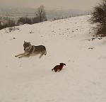 Toran and Rony (winter ´10)