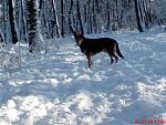 Das erste Bild im echten Schnee