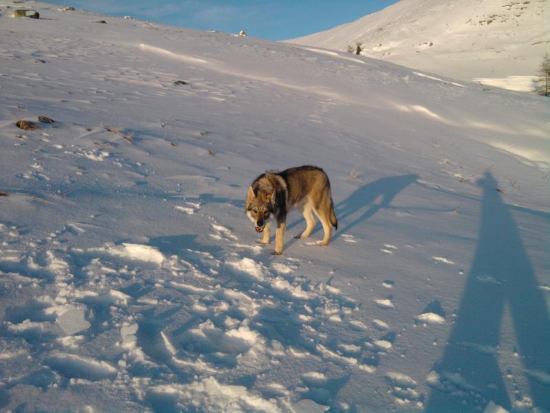 Denver in montagna2