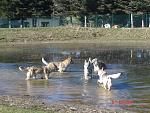 bagno collettivo