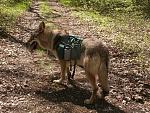 en rando avec le sac à dos!