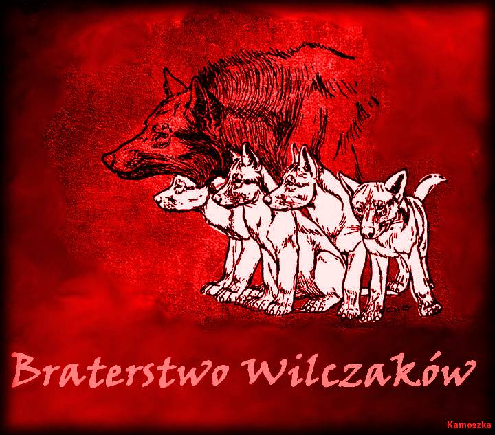 Braterstwo Wilczaków