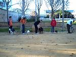 - Kay en el examen de nuevos miembros (perros sin pañuelo) 
- Kay in the examination of new members (dogs without handkerchief)