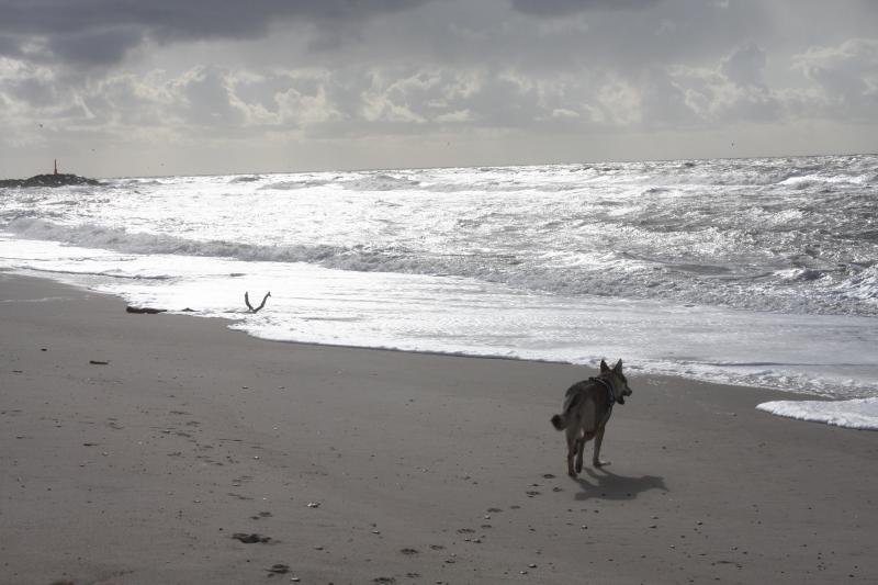 Zum ersten mal Meer