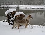 Naïko 15 mois qui fait le beau dans la neige!