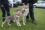 gus and son at dog show