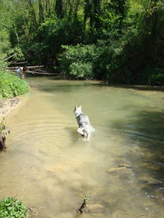 Wijn kopen in Chianti, doe mij maar water