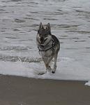 Strand und Meer ...