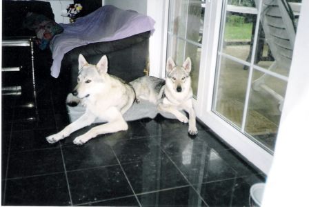 Argos und Luka beim Kuscheln.